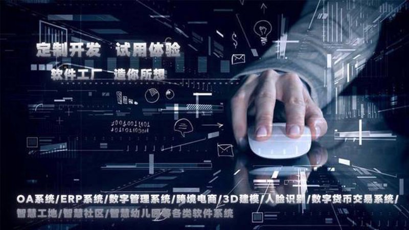 重庆软件开发：探寻创新与机遇